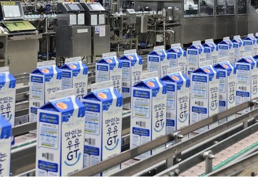사진은 남양유업 '맛있는우유GT'를 생산하는 천안공장. /남양유업