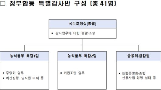 정부합동 특별감사반 구성표 /국무조정실