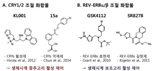 일주기 분자 생체시계 제어 화합물 (출처: ksmcb)