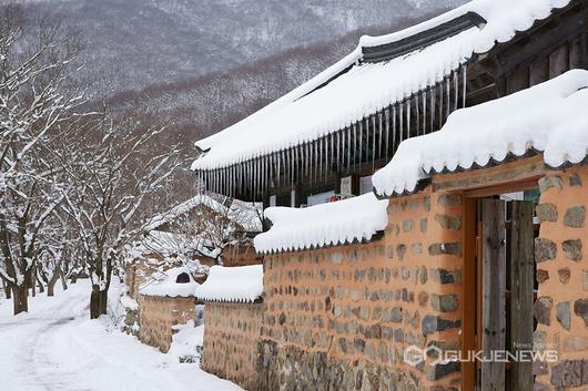 국제뉴스