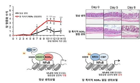 국제뉴스