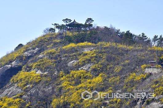 국제뉴스