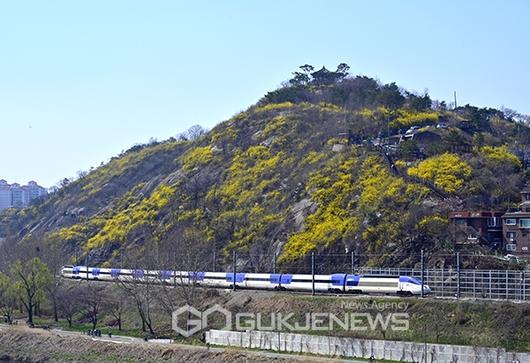 국제뉴스