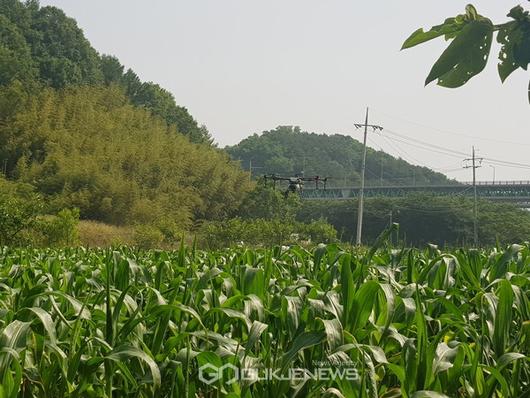 국제뉴스