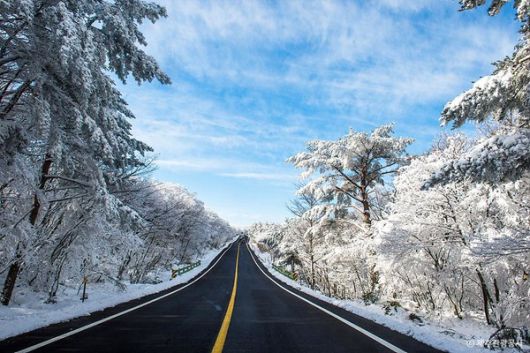 한라산 정상을 동쪽에 끼고 제주시와 서귀포시를 잇는 산간도로 1100로 상고대는 제주도 최고의 눈꽃 명소다. 또 가장 쉽게 한라산을 조망할 수 있고 제주의 손꼽히는 드라이브 명소다. 눈스케치, 겨울추위 (사진출처=제주관광공사)