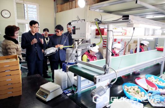 (사진제공=하동군)하동 옥종딸기가 미국 수출길에 올랐다