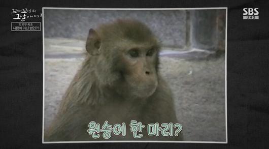 국제뉴스