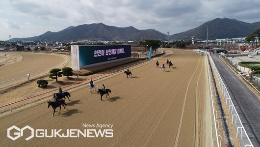 국제뉴스