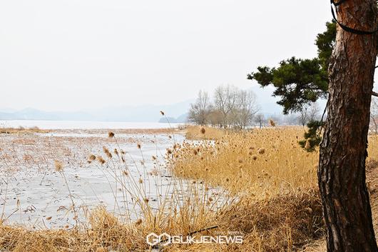 국제뉴스