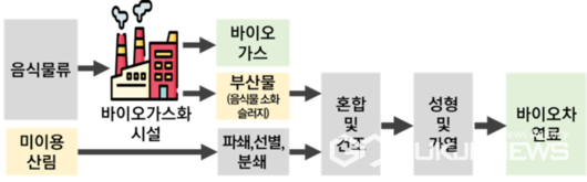 국제뉴스