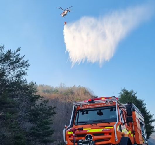 국제뉴스