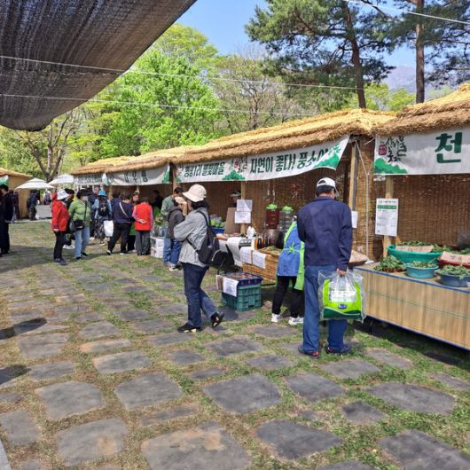 사진/국제뉴스 이재호 기자