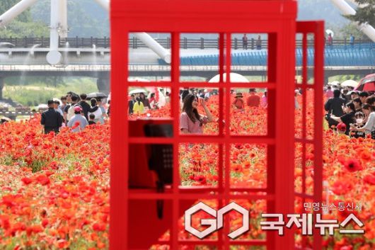 (제공=괴산군청)