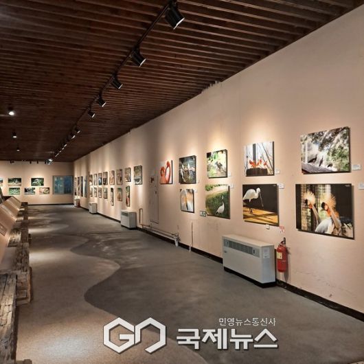 사진/국제뉴스 이재호 기자