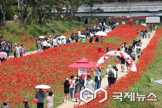 (제공=괴산군청)