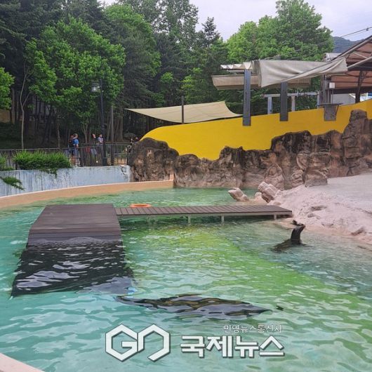 사진/국제뉴스 이재호 기자