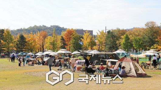 ▲ 과천시, 지난해 11월 가을 캠프닉에서 시민들이 피크닉 중이다 [사진=과천시]