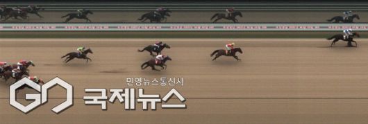 지난 6월 20일, 부경8경주 경주결과 화면