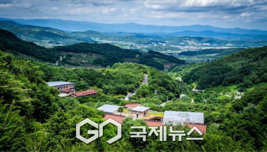 2025년 꼭 가봐야 할 웰니스 명소, 국립산림치유원 선정