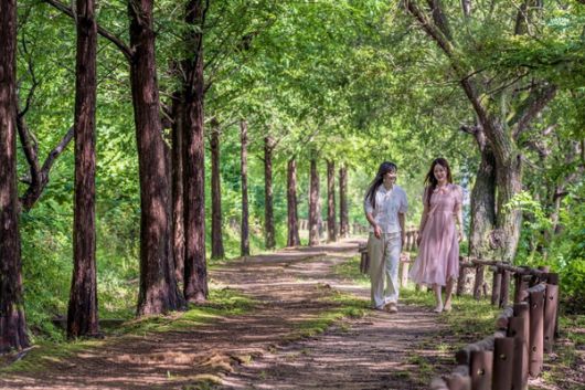 정양늪 둘레길을 걷고 있는 여인들의 모습(제공=김도형 작가)