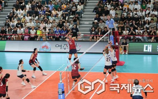 사진/대한배구협회