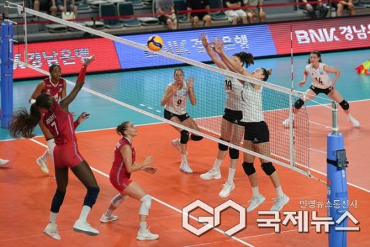 사진/대한배구협회