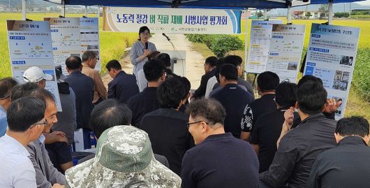 서천군농업기술센터 주관 벼 직파재배 평가회 현장 (서천군)