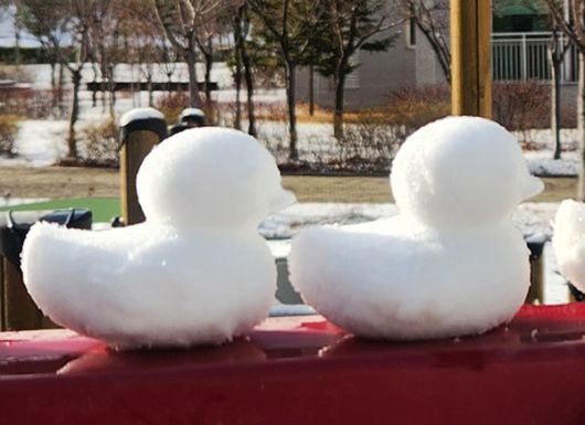 오리 눈스케치, 추위 (국제뉴스DB)