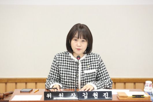 인천 서구의회 김원진 기획행정위원회 위원장 (사진=인천 서구의회 제공)