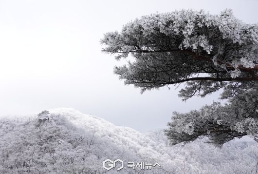 (제공=경북문화관광공사) 1월 김천 수도산