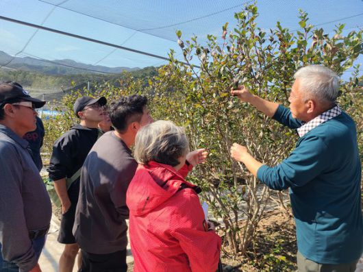 교육생들이 이론과 실습을 연계한 교육을 받고 있다. (사진=강화군 제공)