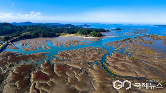 가로림만 갯벌 모습. /서산시