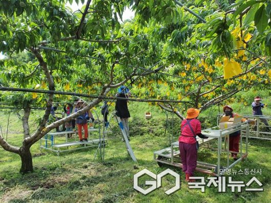 (제공=영동군청)