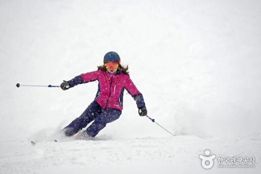 스키, 보드, 스키장 추천 (사진=한국관광공사 제공)