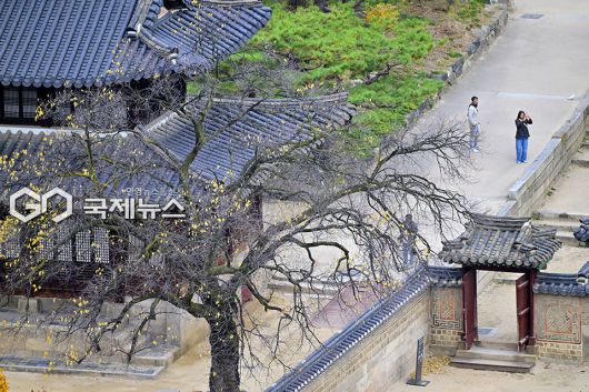 가을낭만, 덕수궁과 정동길의 가을 단풍 풍경 (사진=안희영 기자)