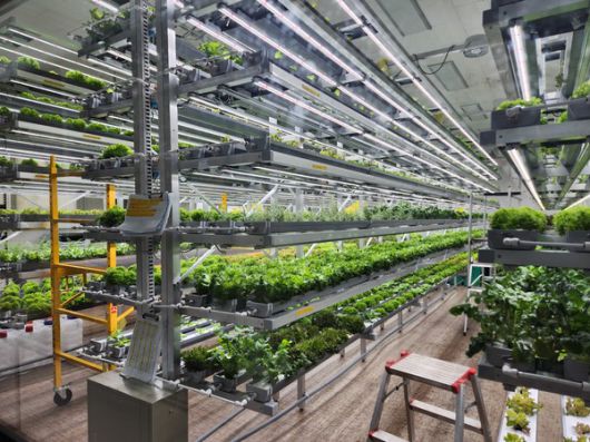 친환경 농업기반 조성 (사진= 계양구 제공)