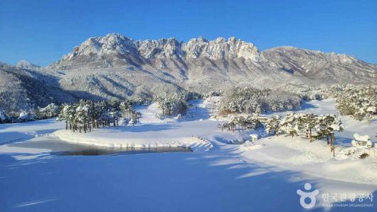 북유럽 감성 자작나무 숲부터 얼음 트레킹까지 즐기는 설경 명소 (사진=한국관광공사 제공)