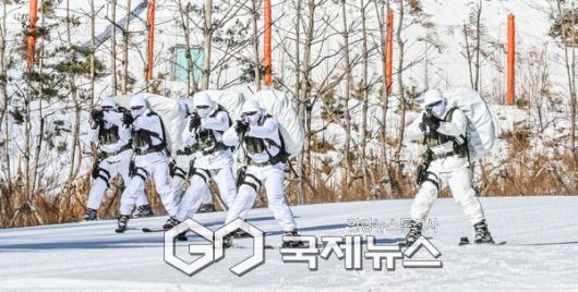육군 특전사 장병들이 설한지 극복훈련 간 스키를 활용한 전술기동을 실시.(사진제공.육군)