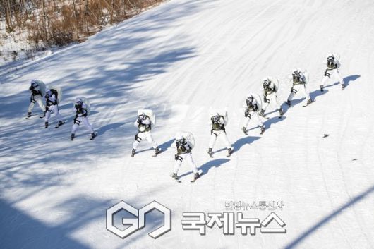 육군 특전사 장병들이 설한지 극복훈련 간 스키를 활용한 설상 기동훈련(전술스키)을 실시.(사진제공.육군)