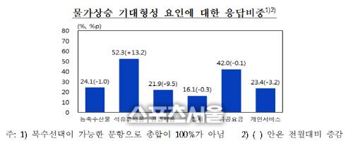 스포츠서울