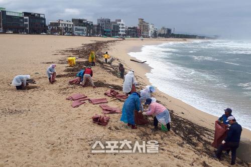 스포츠서울