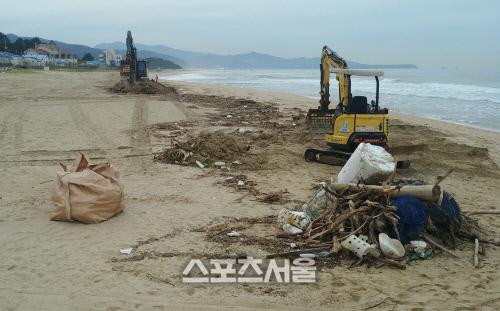 스포츠서울