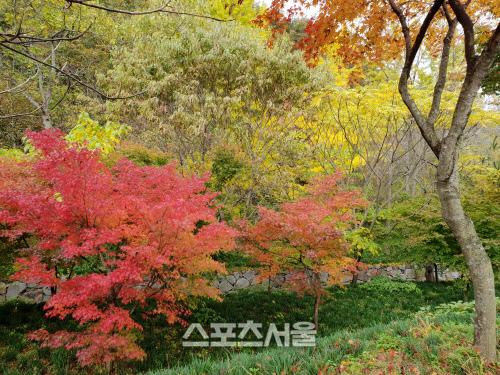 스포츠서울