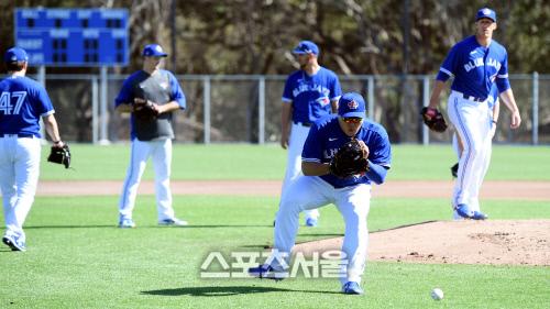 스포츠서울