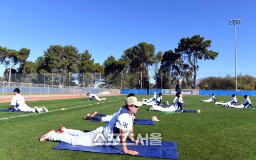 스포츠서울