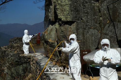 스포츠서울