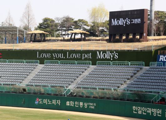 T그린존으로 명성을 떨쳤던 외야 잔디석은 몰리스로 명칭이 바뀌었다. 제공=SSG랜더스