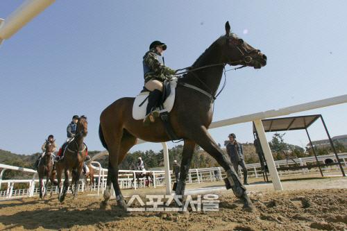 스포츠서울