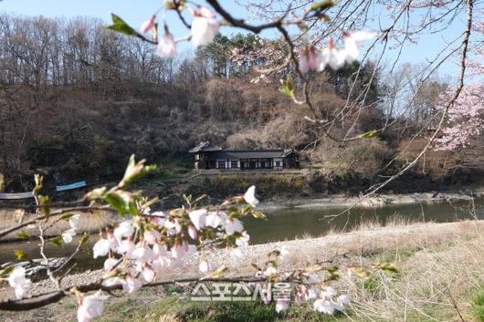 스포츠서울