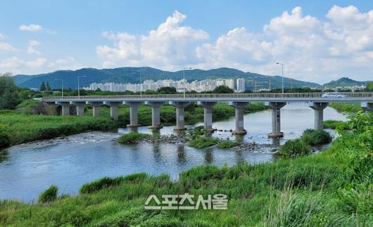 스포츠서울